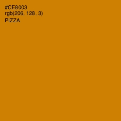 #CE8003 - Pizza Color Image