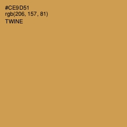 #CE9D51 - Twine Color Image