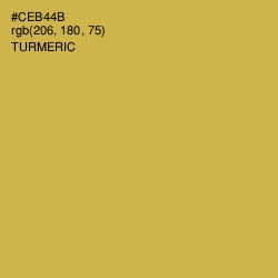 #CEB44B - Turmeric Color Image
