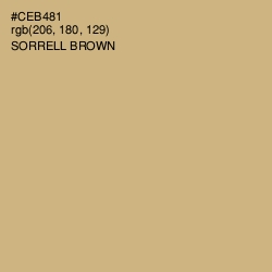 #CEB481 - Sorrell Brown Color Image