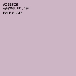 #CEB5C5 - Pale Slate Color Image
