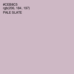 #CEB8C5 - Pale Slate Color Image