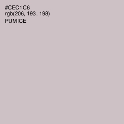 #CEC1C6 - Pumice Color Image