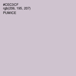 #CEC3CF - Pumice Color Image