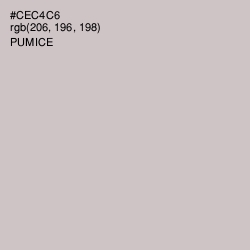 #CEC4C6 - Pumice Color Image