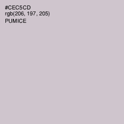 #CEC5CD - Pumice Color Image