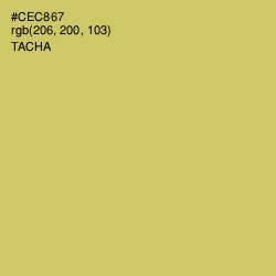 #CEC867 - Tacha Color Image
