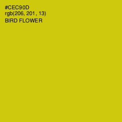 #CEC90D - Bird Flower Color Image