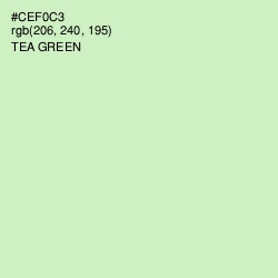 #CEF0C3 - Tea Green Color Image