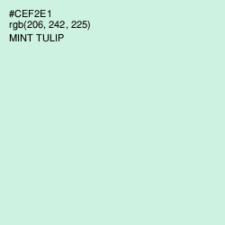 #CEF2E1 - Mint Tulip Color Image