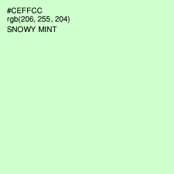 #CEFFCC - Snowy Mint Color Image