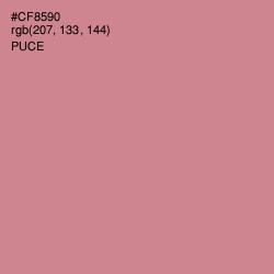 #CF8590 - Puce Color Image