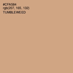 #CFA584 - Tumbleweed Color Image