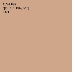 #CFA689 - Tan Color Image
