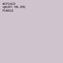 #CFC4CD - Pumice Color Image