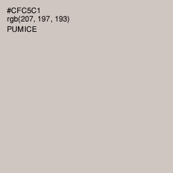 #CFC5C1 - Pumice Color Image