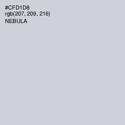 #CFD1D8 - Nebula Color Image