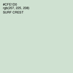 #CFE1D0 - Surf Crest Color Image
