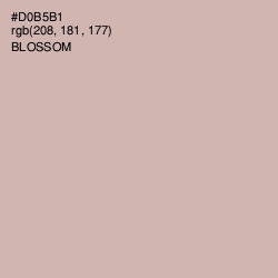 #D0B5B1 - Blossom Color Image