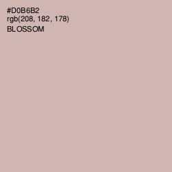 #D0B6B2 - Blossom Color Image