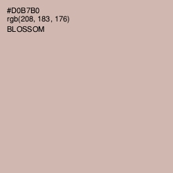 #D0B7B0 - Blossom Color Image