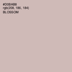 #D0BAB8 - Blossom Color Image