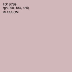 #D1B7B9 - Blossom Color Image