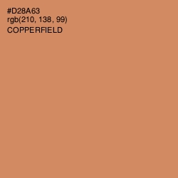 #D28A63 - Copperfield Color Image