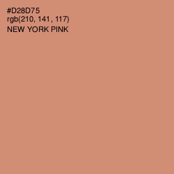 #D28D75 - New York Pink Color Image