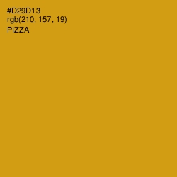 #D29D13 - Pizza Color Image