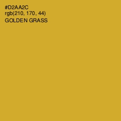 #D2AA2C - Golden Grass Color Image