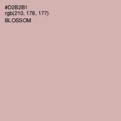 #D2B2B1 - Blossom Color Image