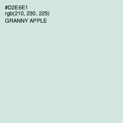 #D2E6E1 - Granny Apple Color Image