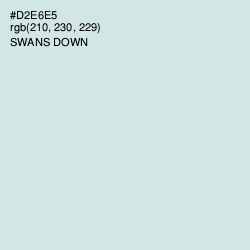 #D2E6E5 - Swans Down Color Image
