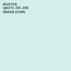 #D2EFEB - Swans Down Color Image