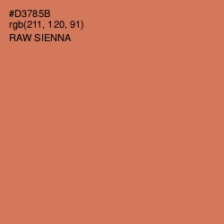 #D3785B - Raw Sienna Color Image
