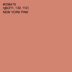 #D38470 - New York Pink Color Image