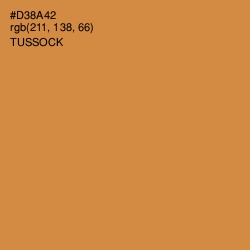 #D38A42 - Tussock Color Image