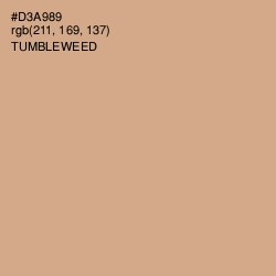 #D3A989 - Tumbleweed Color Image