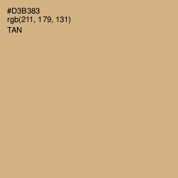 #D3B383 - Tan Color Image