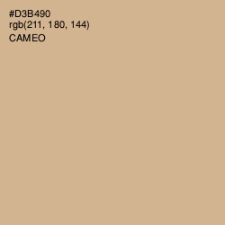 #D3B490 - Cameo Color Image