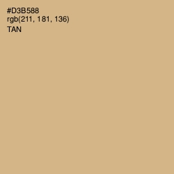 #D3B588 - Tan Color Image