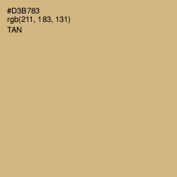 #D3B783 - Tan Color Image