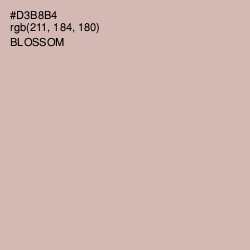 #D3B8B4 - Blossom Color Image