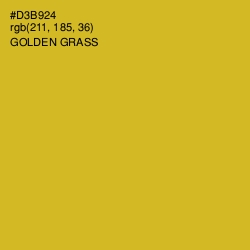 #D3B924 - Golden Grass Color Image