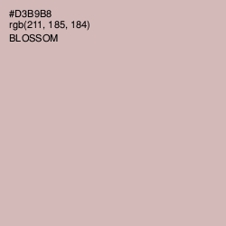 #D3B9B8 - Blossom Color Image