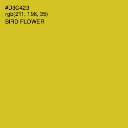#D3C423 - Bird Flower Color Image