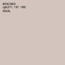 #D3C5BD - Sisal Color Image