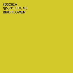 #D3C82A - Bird Flower Color Image