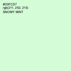 #D3FCD7 - Snowy Mint Color Image